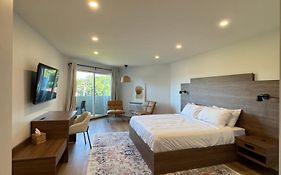 Hotel 19